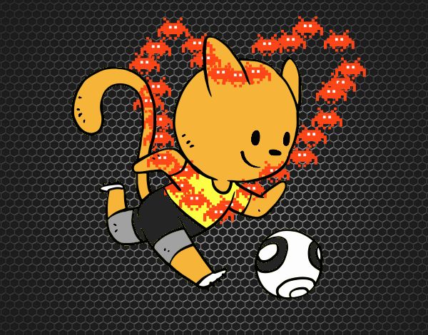 Gato jugando a fútbol