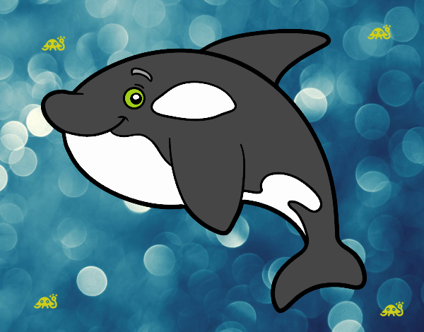 ORCA