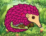 Pangolin