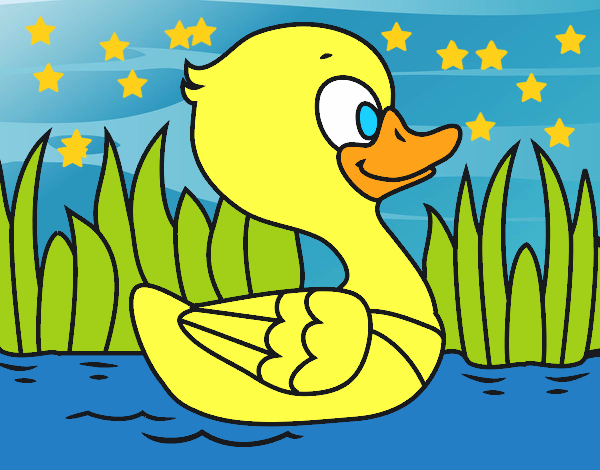 Patito de río