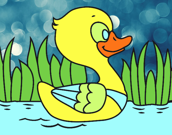 Patito de río