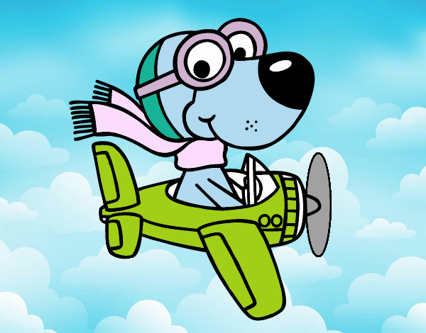 Perro piloto