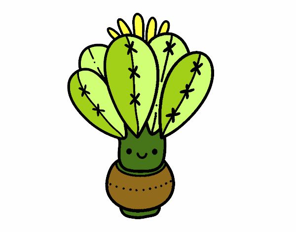 Un cactus con flor