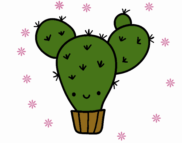 Cactus nopal