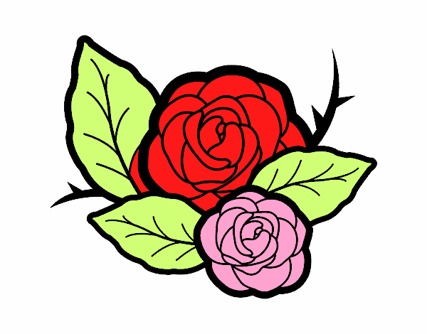 Dos rosas