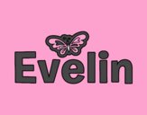 Evelin