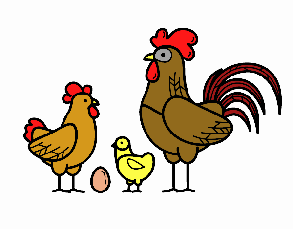 Familia gallina