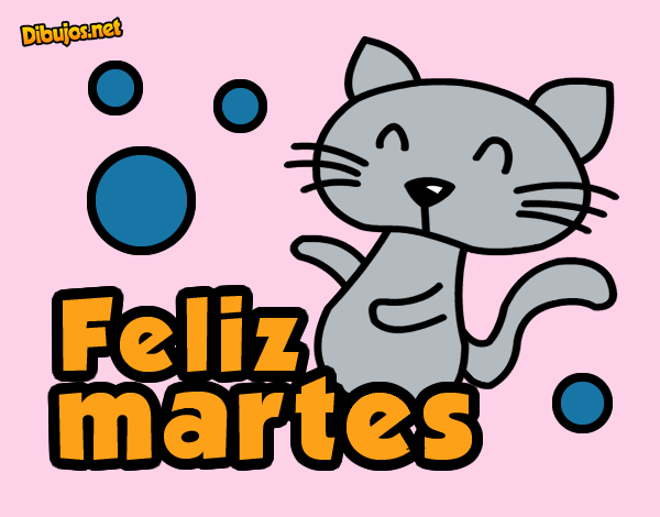 un gatito gris