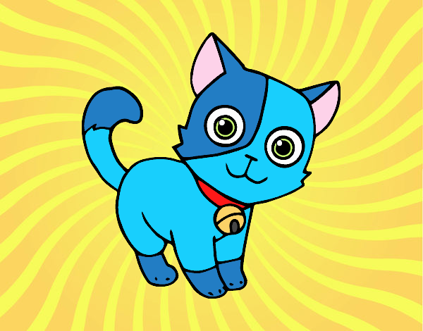 Gatito azul