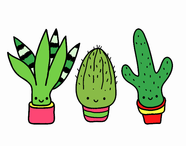 Mini cactus