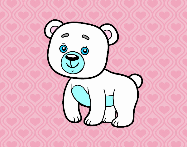 oso polar