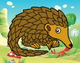 Pangolin