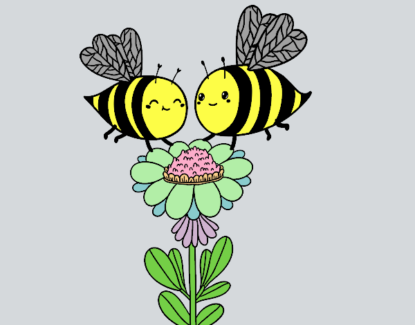 Pareja de abejas