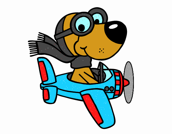 Perro piloto