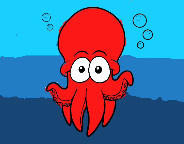 Pulpo rojo