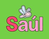 Saúl