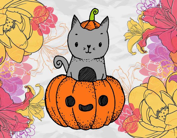 gatito de haloween