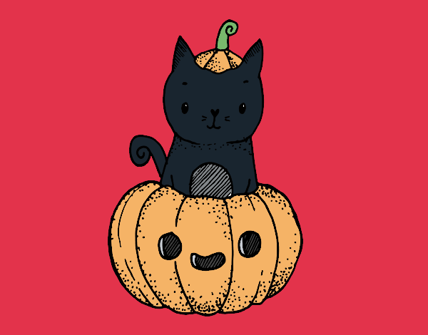 Un gatito de Halloween