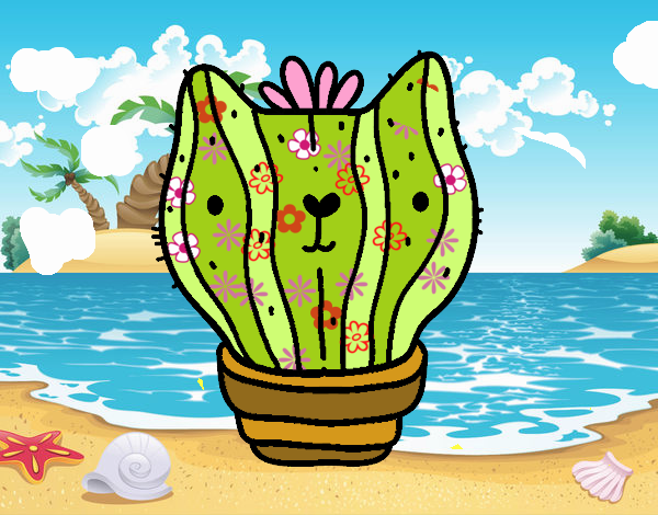 Cactus gato