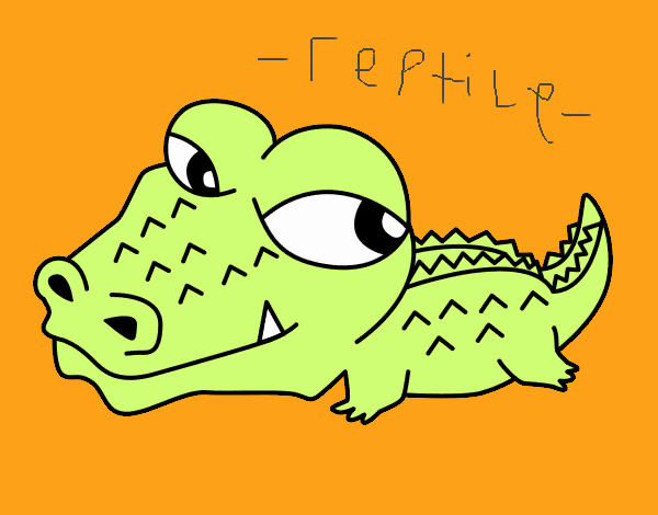 -reptile-