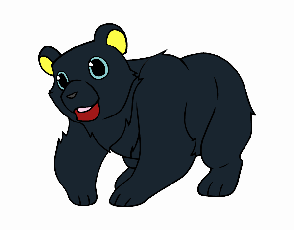 Oso negro