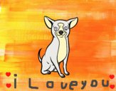 Perro chihuahua