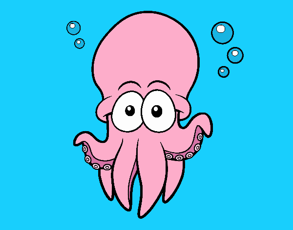 Pulpo rosa