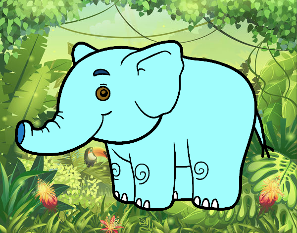 Elefantito joven
