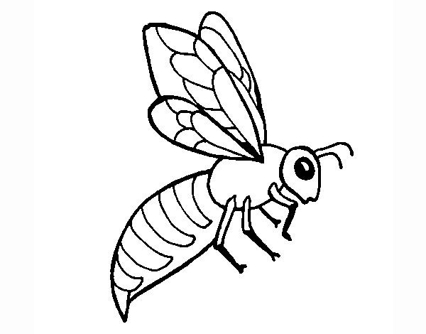 Abeja 2