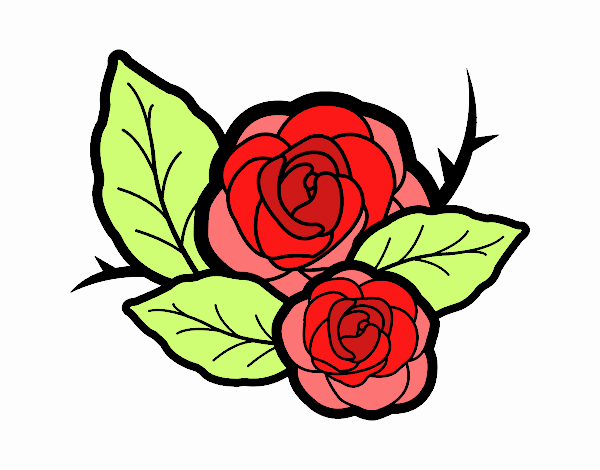 Dos rosas