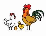 Familia gallina