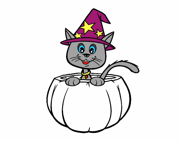 Gatito de Halloween