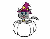 Gatito de Halloween