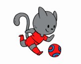 Gato jugando a fútbol