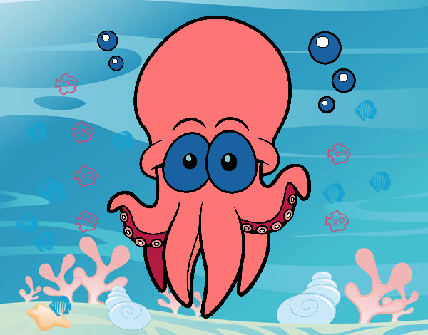 pulpo