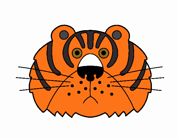 Tigre III