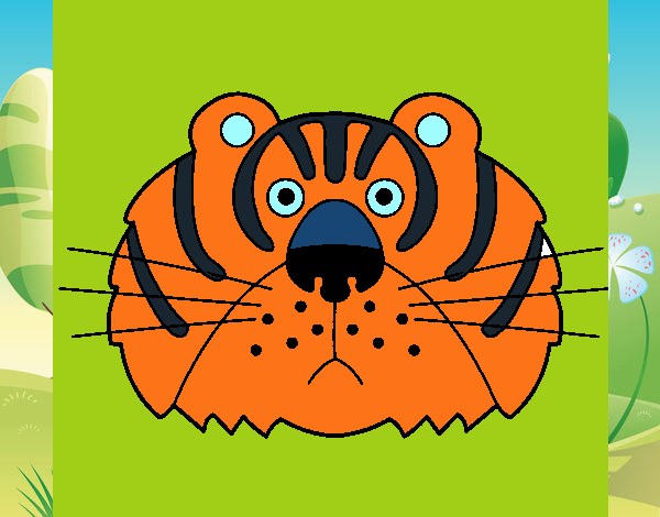 Tigre III