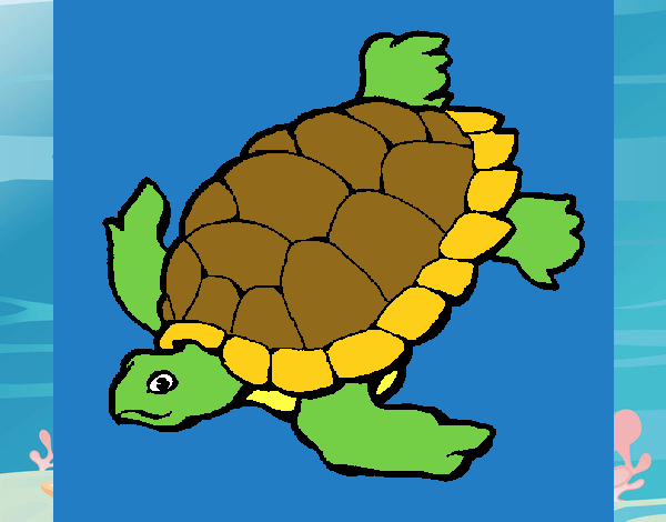 Tortuga