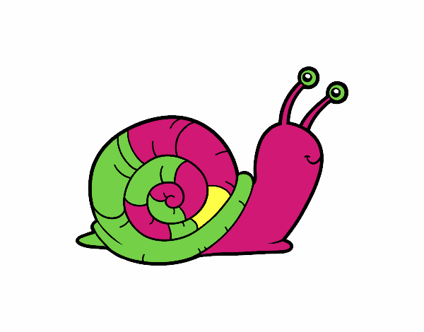 Un caracol