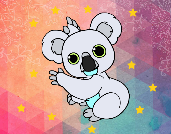 Koala y sus estrellas