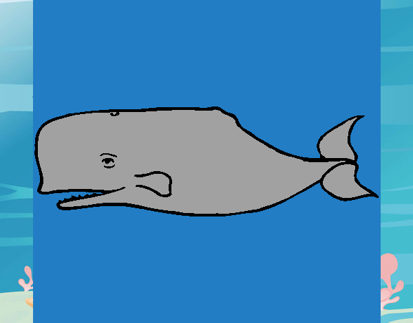 Ballena azul