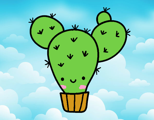 Cactus nopal