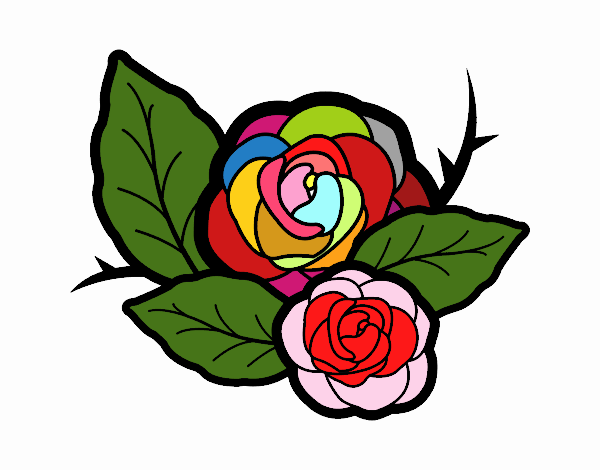 Dos rosas