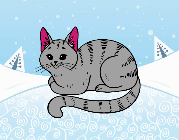 gato en la nieve