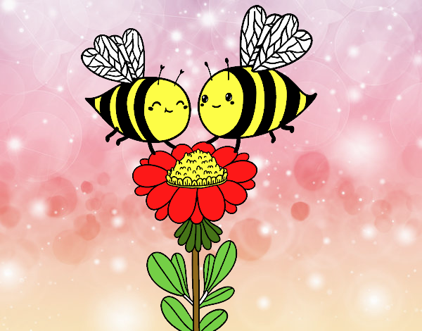 Pareja de abejas