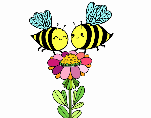 Pareja de abejas