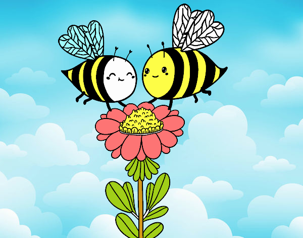 Pareja de abejas