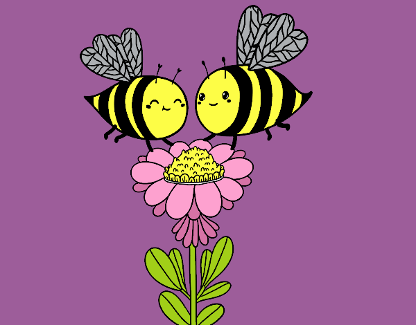 Pareja de abejas