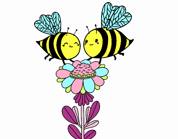 Pareja de abejas