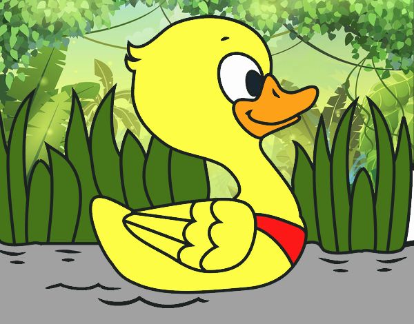 Patito de río